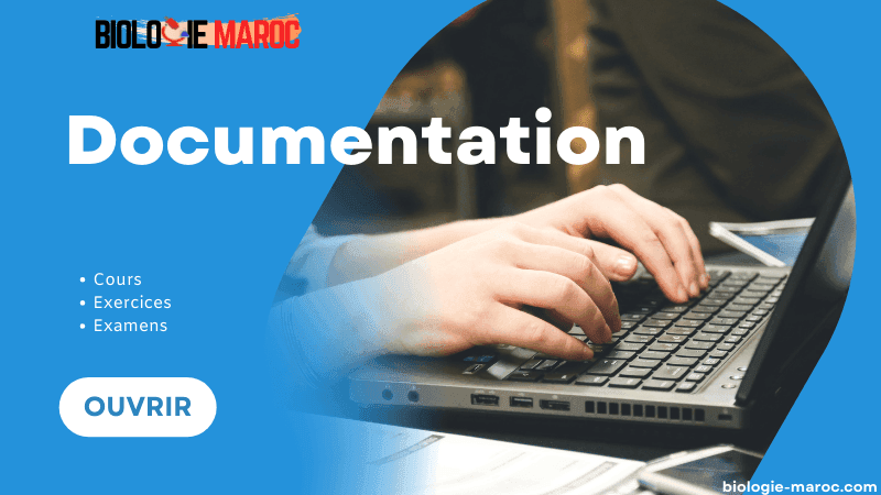 Documentation S6: Cours et Examens PDF