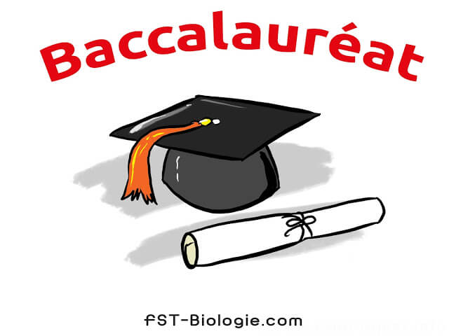 جميع دروس باكالوريا علوم الحياة والأرض ملخصة في ملف واحد pdf - Bac SVT Cours
